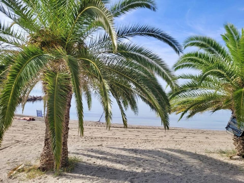 2BR Ocean View Beach Apartment, Pool, La Manga Apartment in La Manga