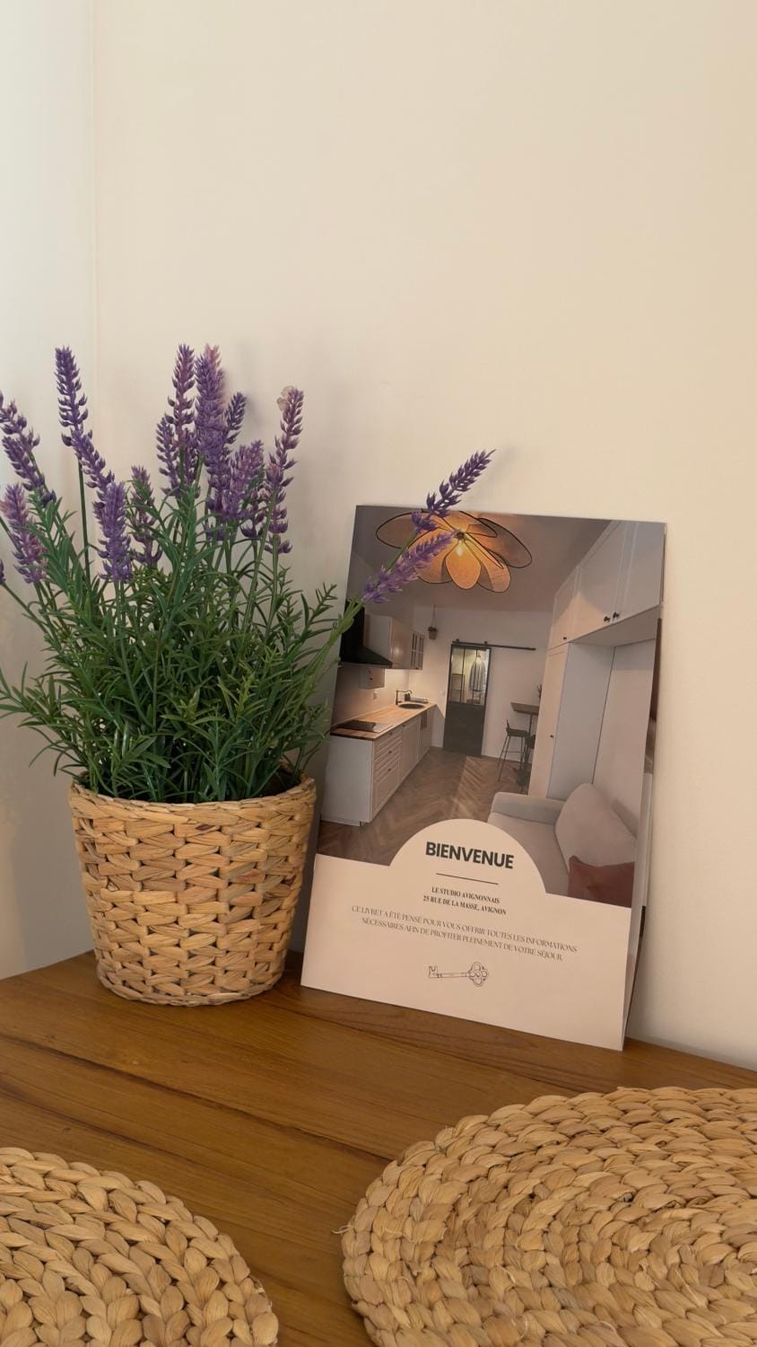 Le studio avignonnais Apartment in Avignon