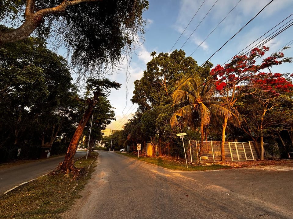 Tropical Garden Suites steps from the Lagoon House in Bacalar