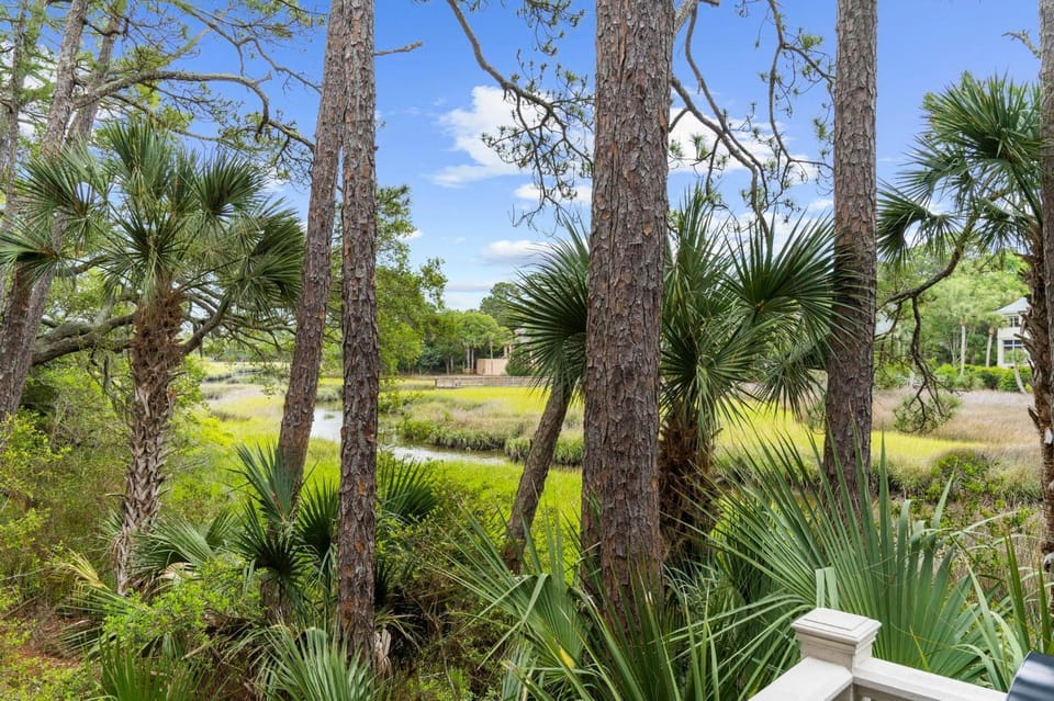 29 Marsh Cottage Ln House in Kiawah Island