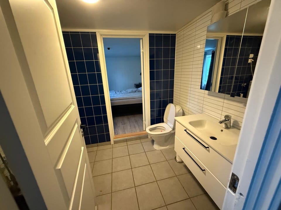 Sjøveien 43 Apartment in Lofoten