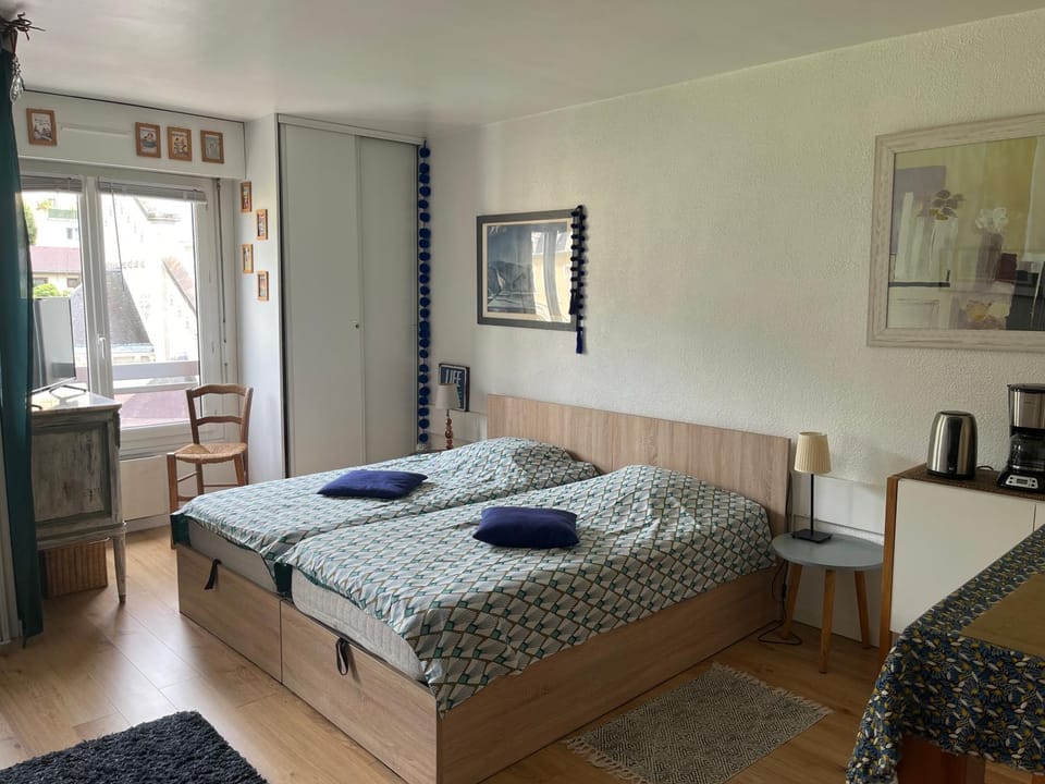 Appt cosy , vue sur le Revard , 5mn à pied du centre ville , 10mn à pied des thermes et de la gare Apartment in Aix-les-Bains