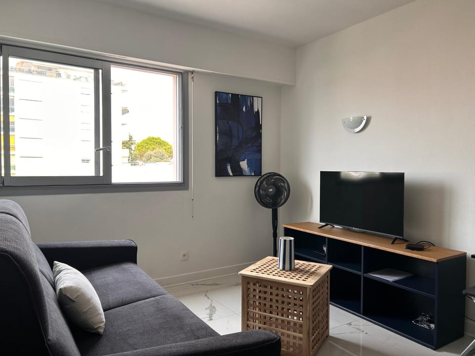 Chris charming studio in Cannes Apartment in Cannes