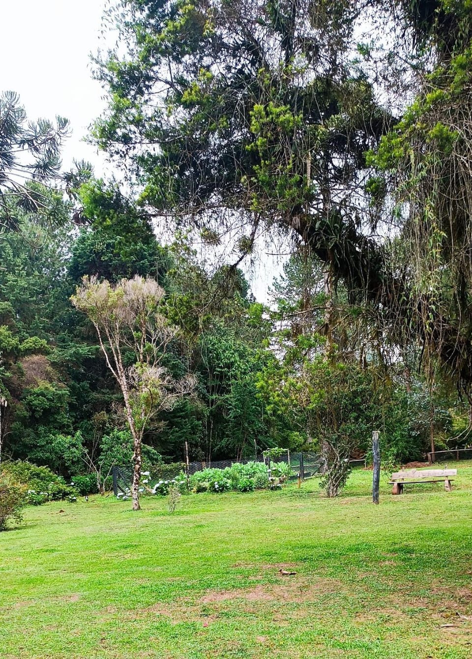Linda casa localizada em frente ao museu CARDE House in Campos do Jordão