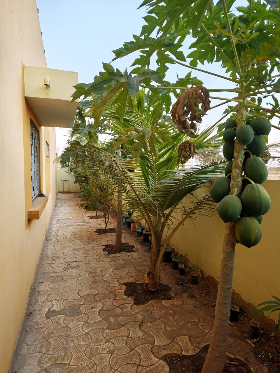Tata Khane Villa in Thiès Region, Senegal