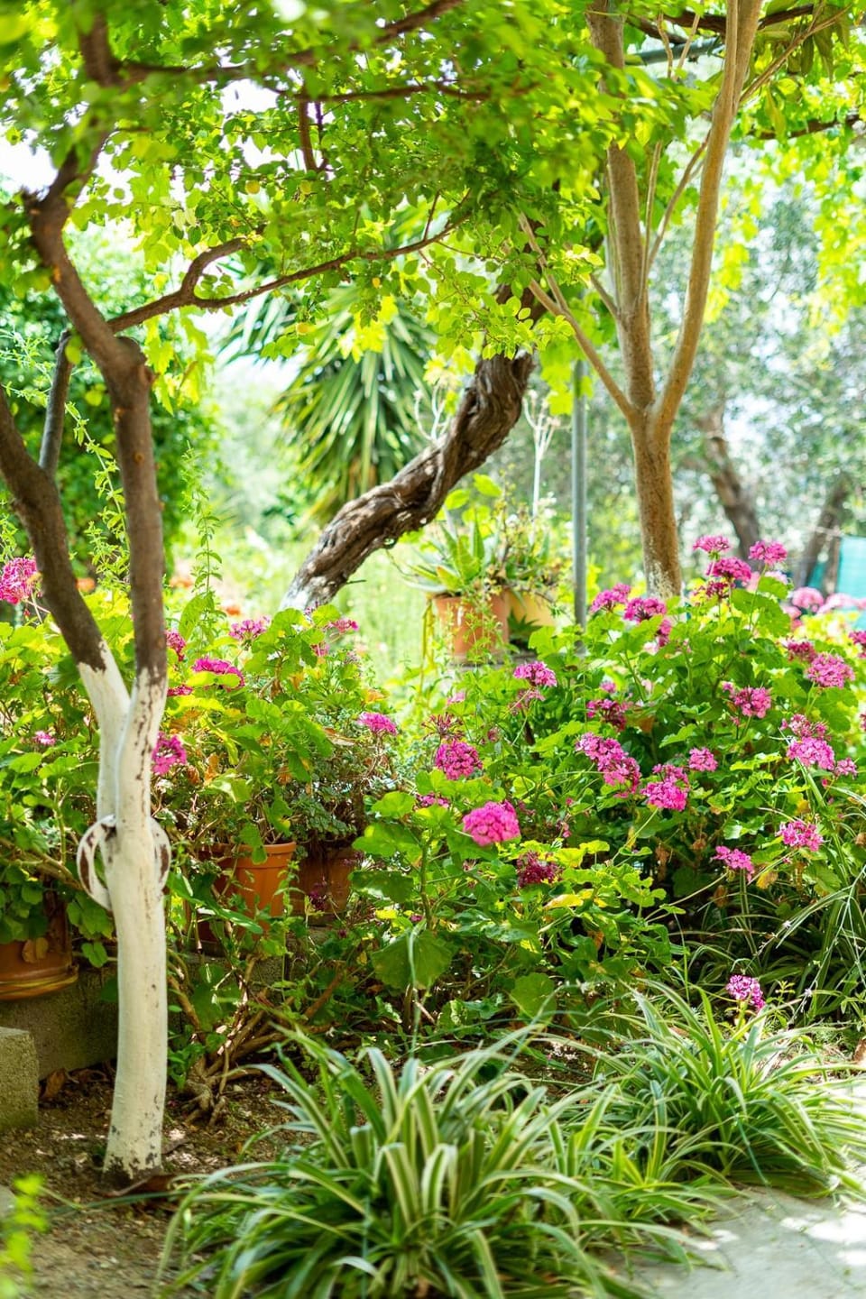 Spring, Garden, Garden view