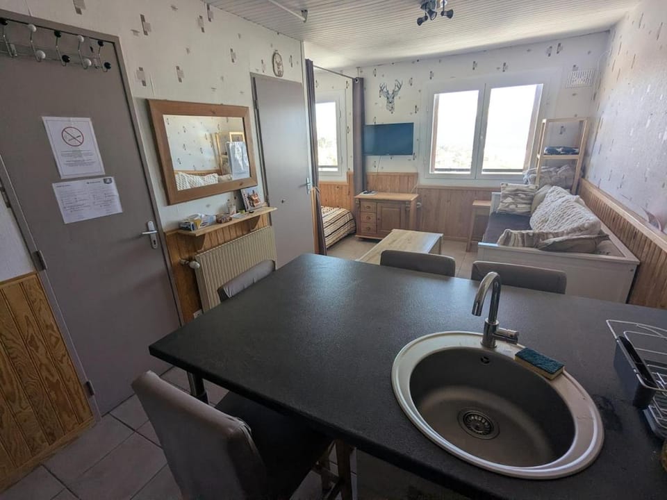 Appart PIED DE PISTE Vue Imprenable Apartment in Occitanie