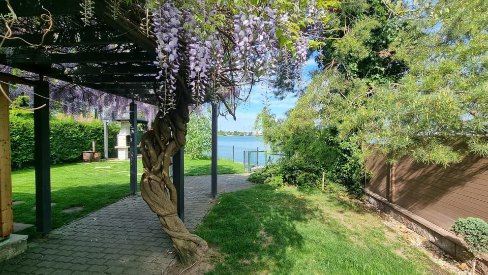 Spring, Natural landscape, Garden, Lake view