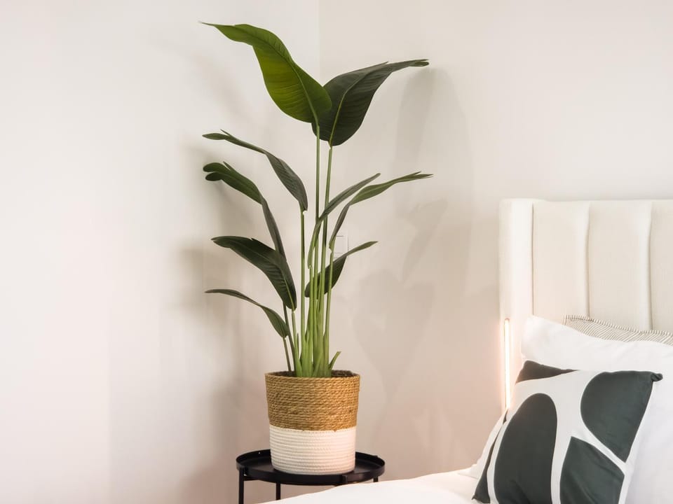 3E- Explore Lisbon on Foot from One of the City's Most Walkable Locations Bed and Breakfast in Lisbon