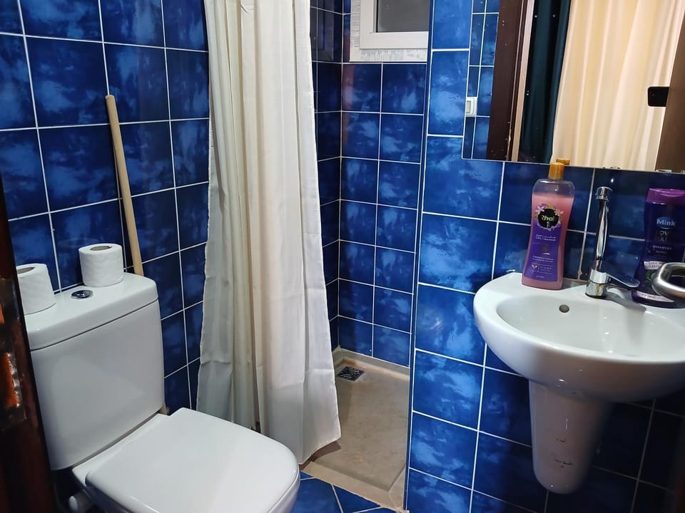 Shower, Toilet, Bathroom, bidet