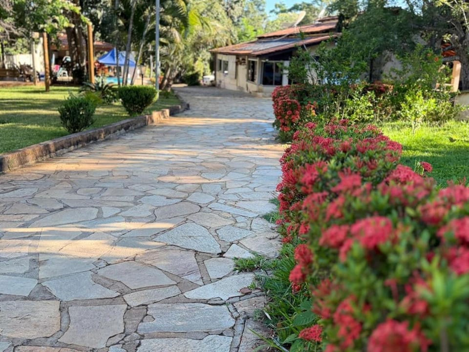 Property building, Garden view