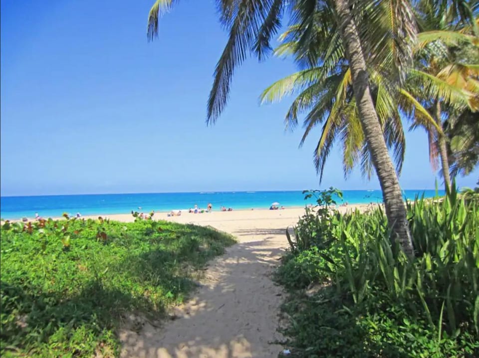 Beach, Sea view