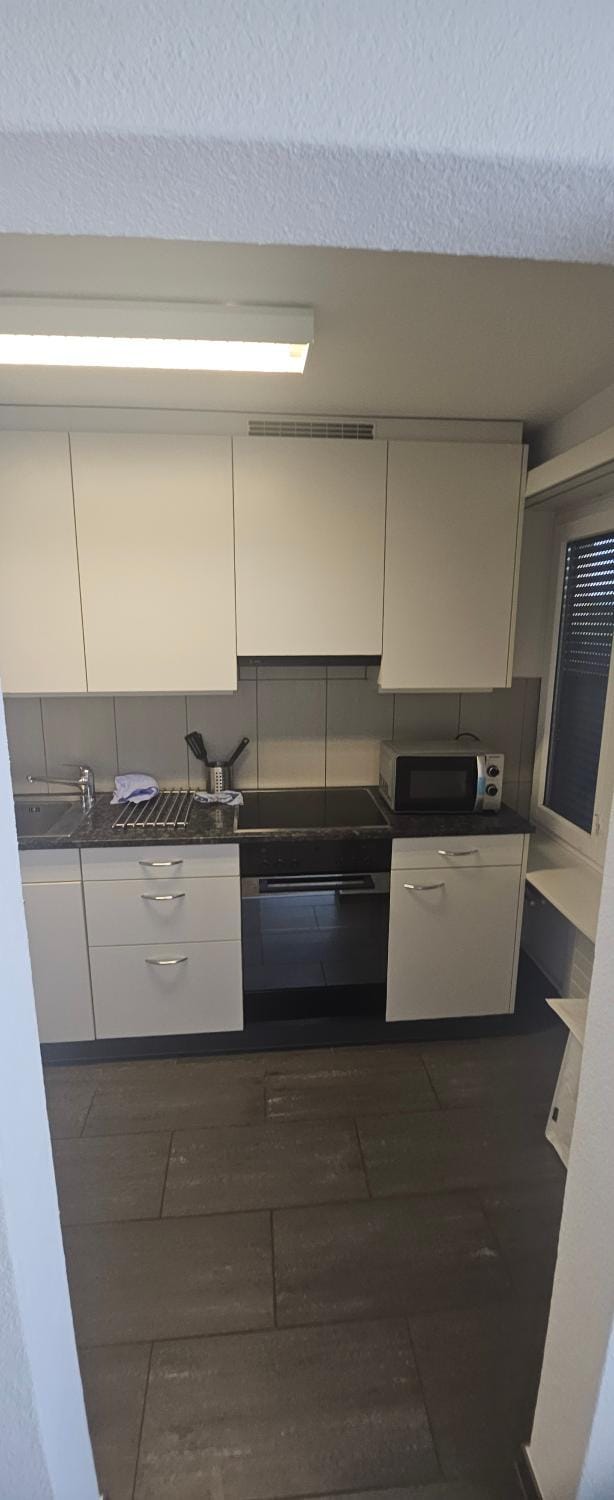 Kitchen or kitchenette, stove, kitchen
