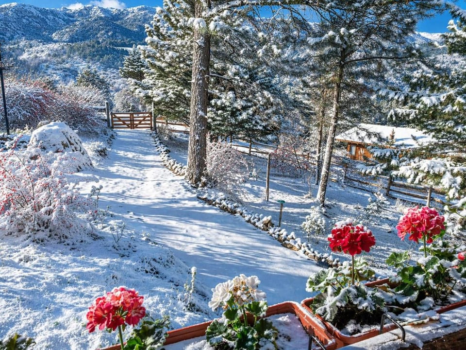 Winter