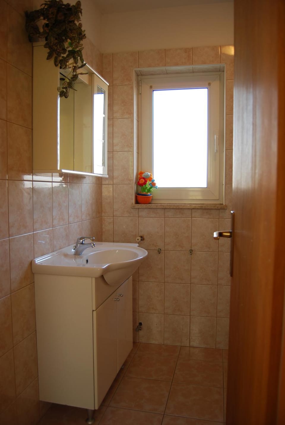 Apartments Mira Apartment in Istria County