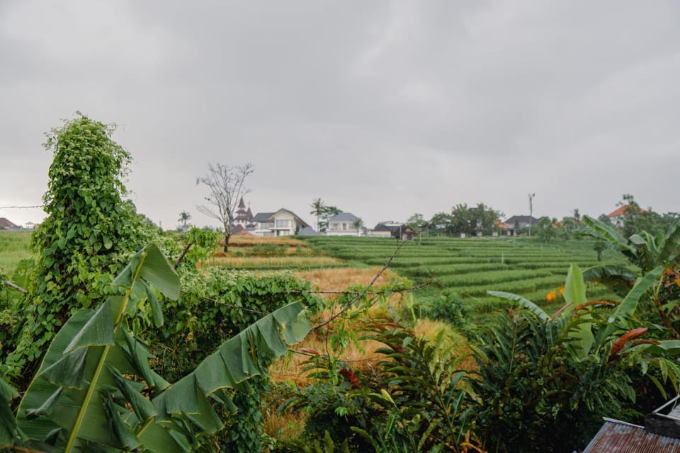 Natural landscape