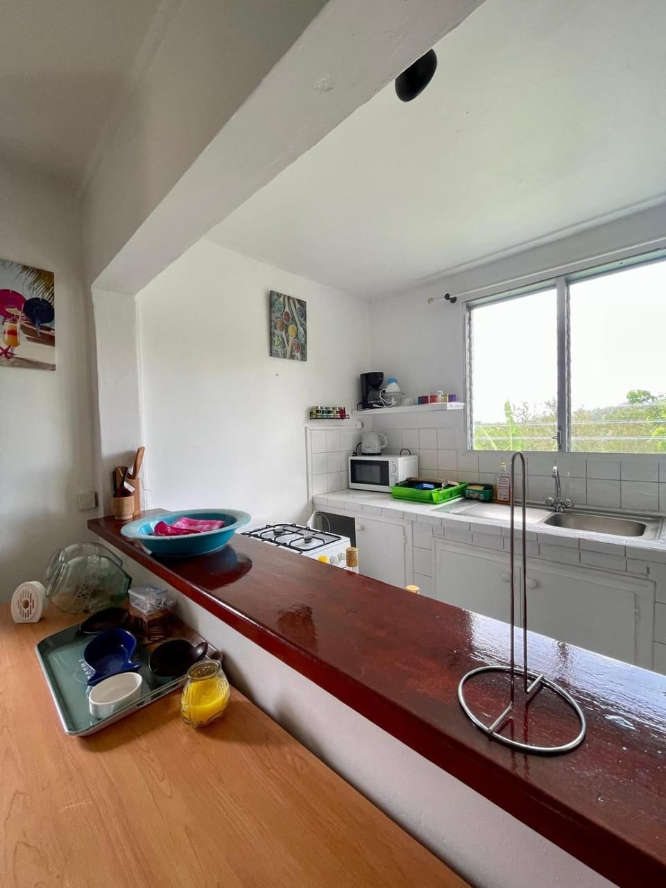 Corossole Apartment in Bouillante