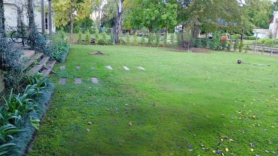 Natural landscape, Garden view