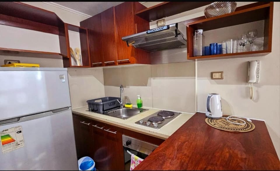 Monedapart Apartment in Santiago