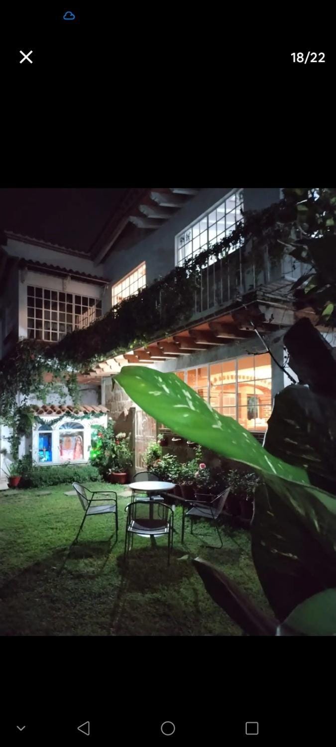 Night, Garden