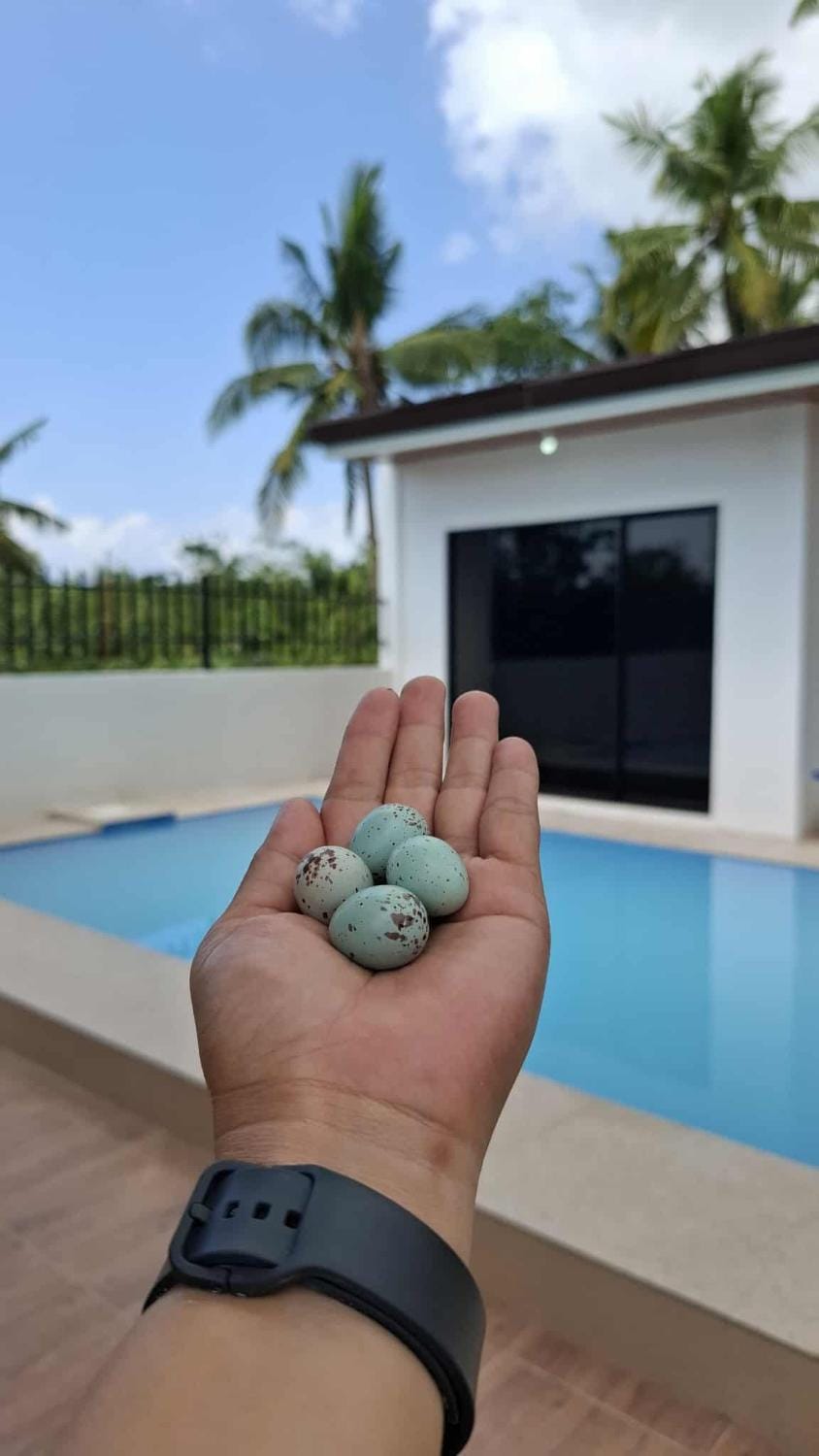 Isla Del Mar Villas Bed and Breakfast in Panglao