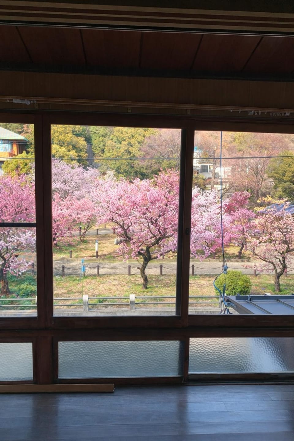 View (from property/room)