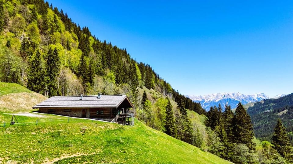 Premium Almhütte Leogang Family, Friends & Biker Apartment in Salzburgerland