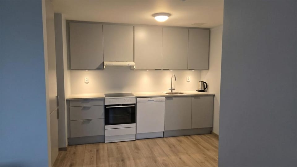 Kitchen or kitchenette, dishwasher, pet friendly, stove