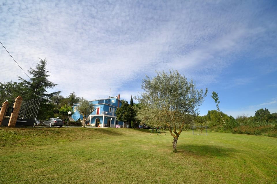 Natural landscape, Garden, Garden view