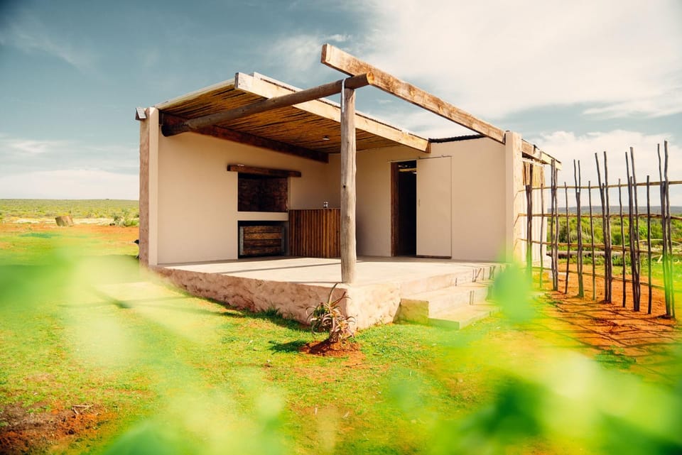 Balcony/Terrace, Kitchen or kitchenette