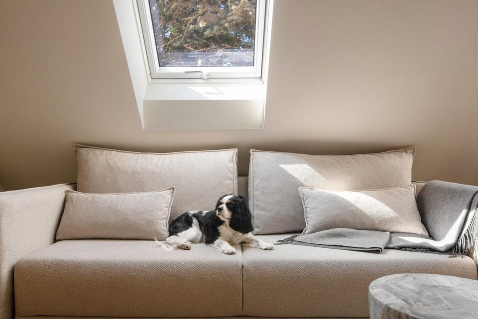 Living room, Seating area, Pets