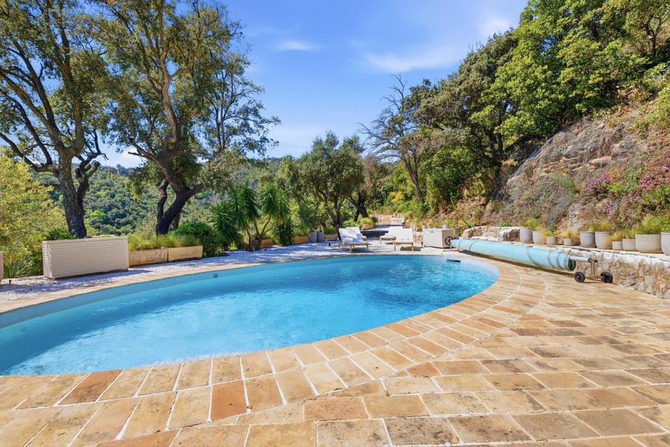 Garden, Pool view, Swimming pool, sunbed