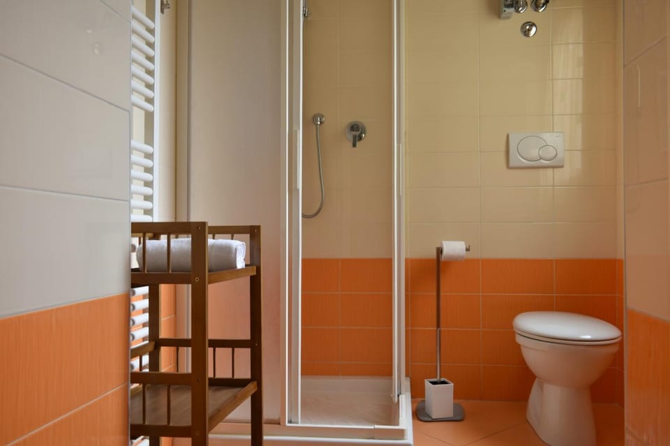 Shower, Toilet, Bathroom, towels