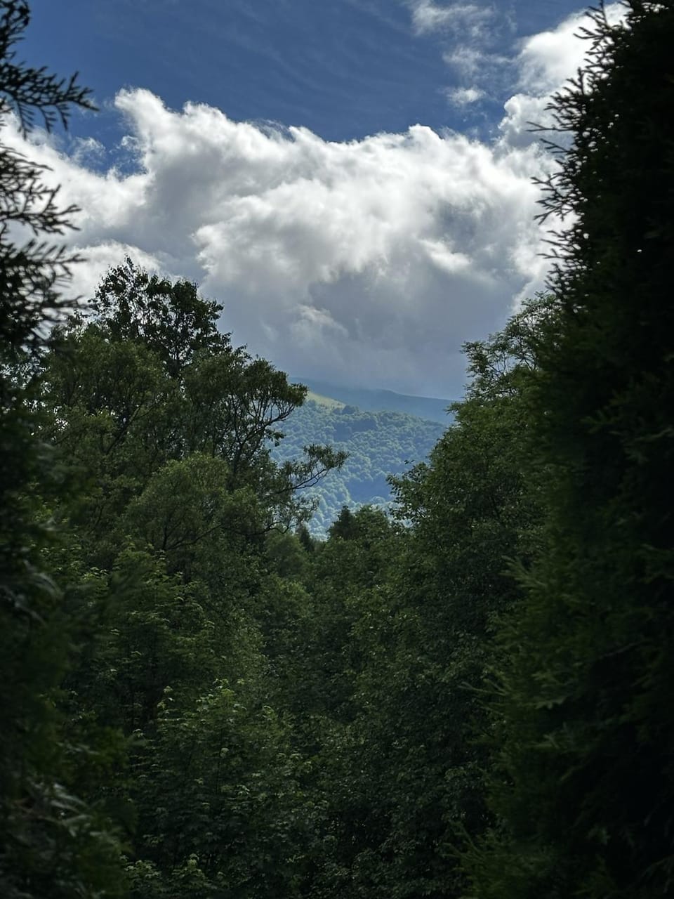 Mountain view
