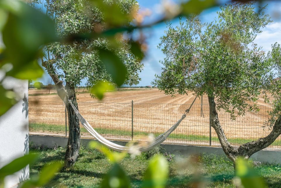 OrtoPì Country Canapa House Bed and Breakfast in Marche