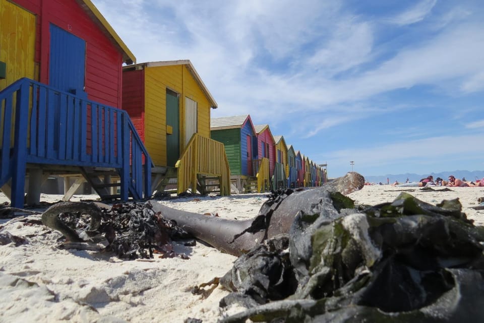 Spring, Off site, Day, Beach
