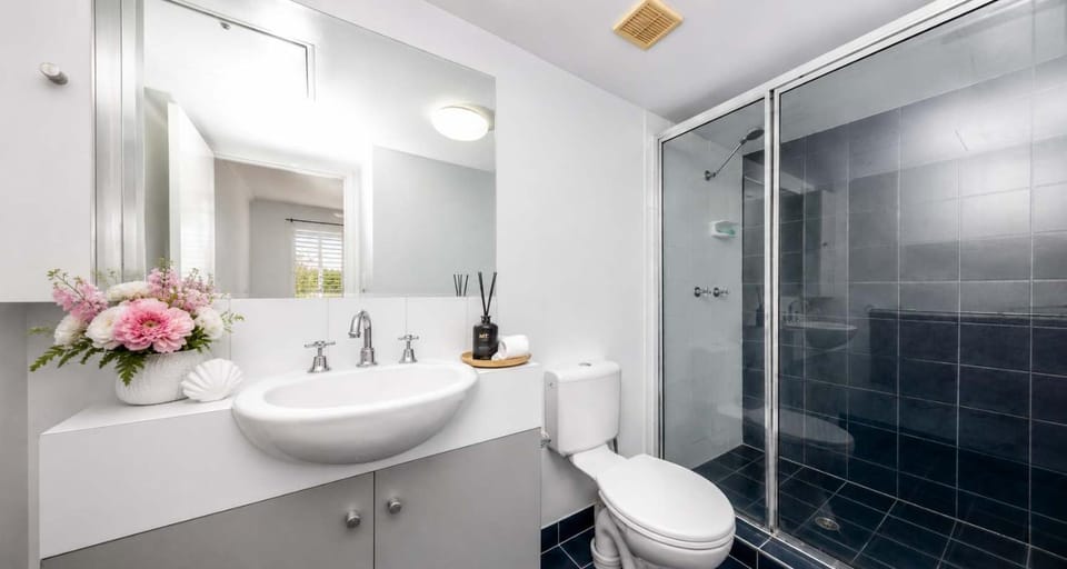 Shower, Toilet, Bathroom, Bath, towels