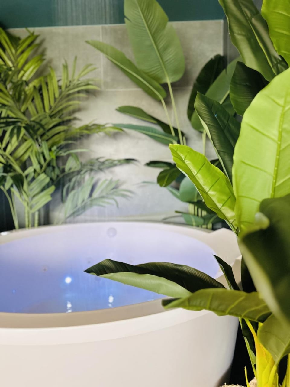 Hot Tub, Spa and wellness centre/facilities