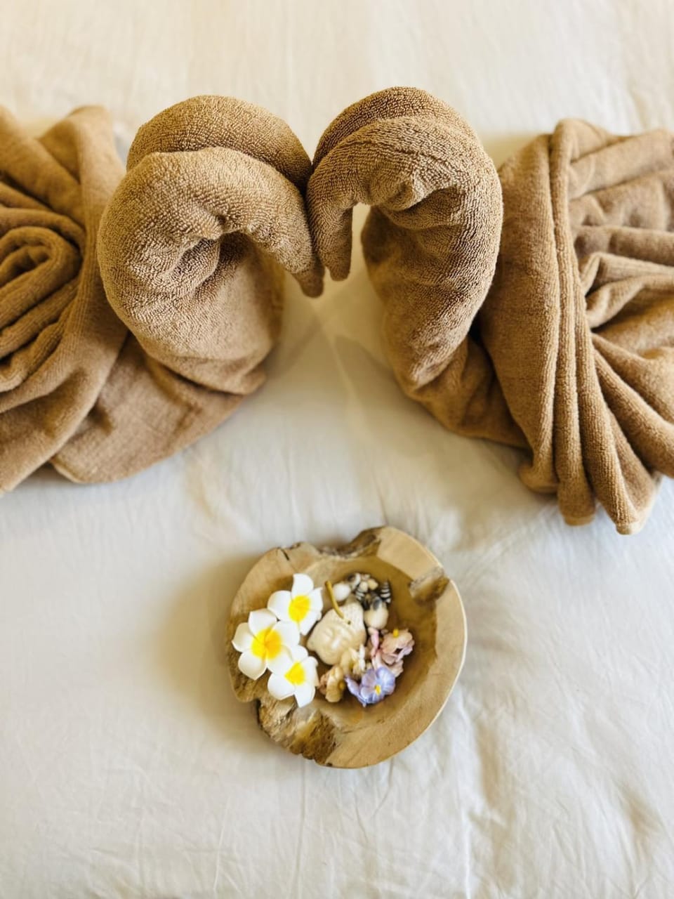 La Balinaise Evasion Spa Cinéma privé Apartment in Brittany