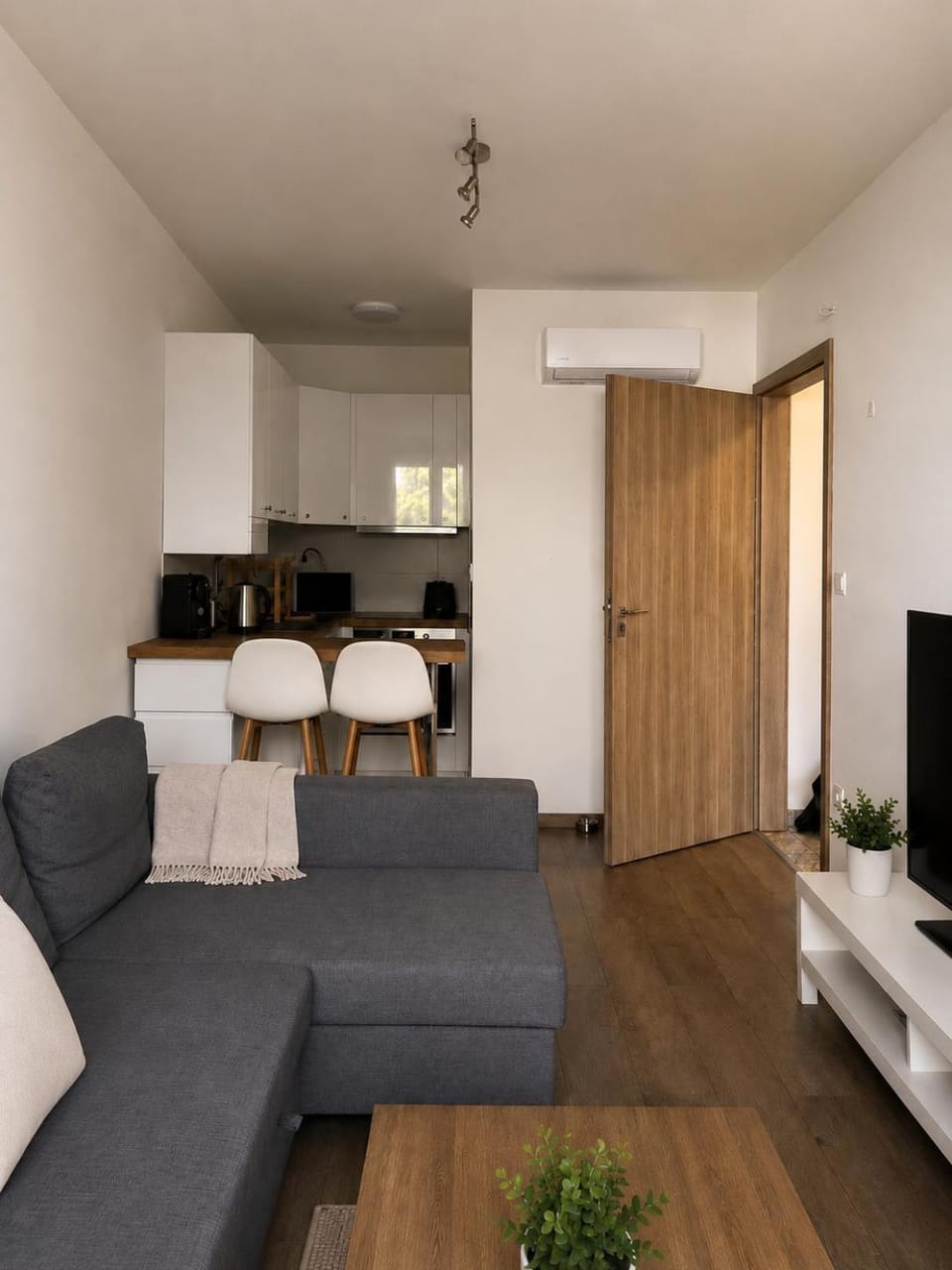 Living room, kitchen