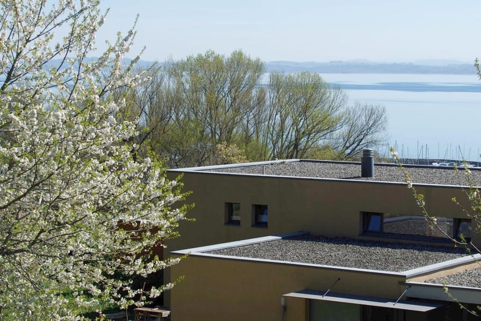 Property building, Spring, Natural landscape, Lake view