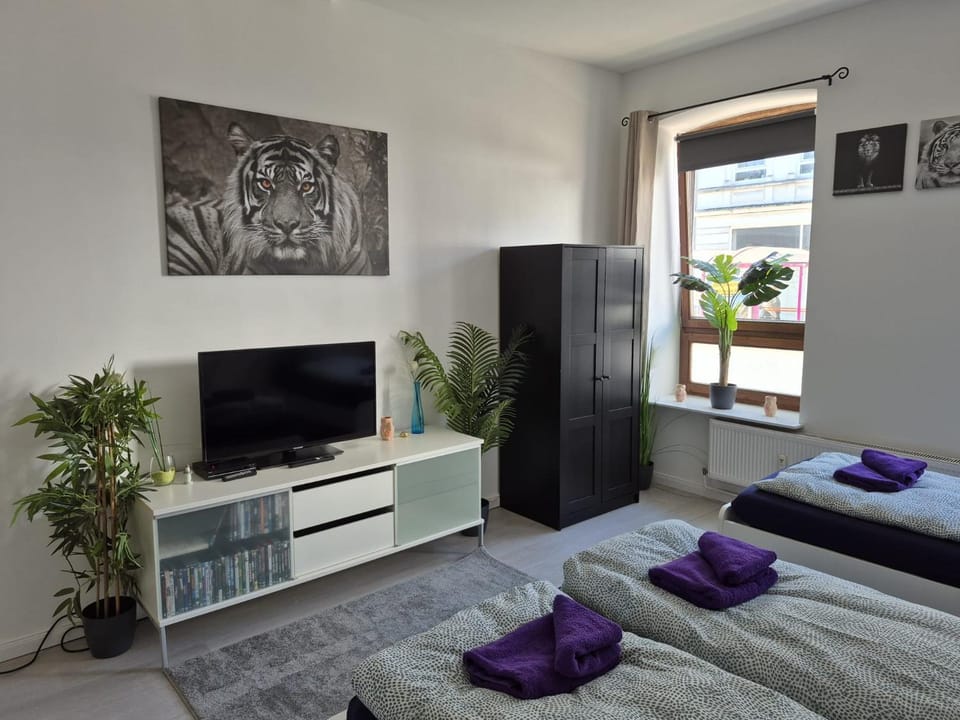 TV and multimedia, Bedroom, heating, towels, wardrobe