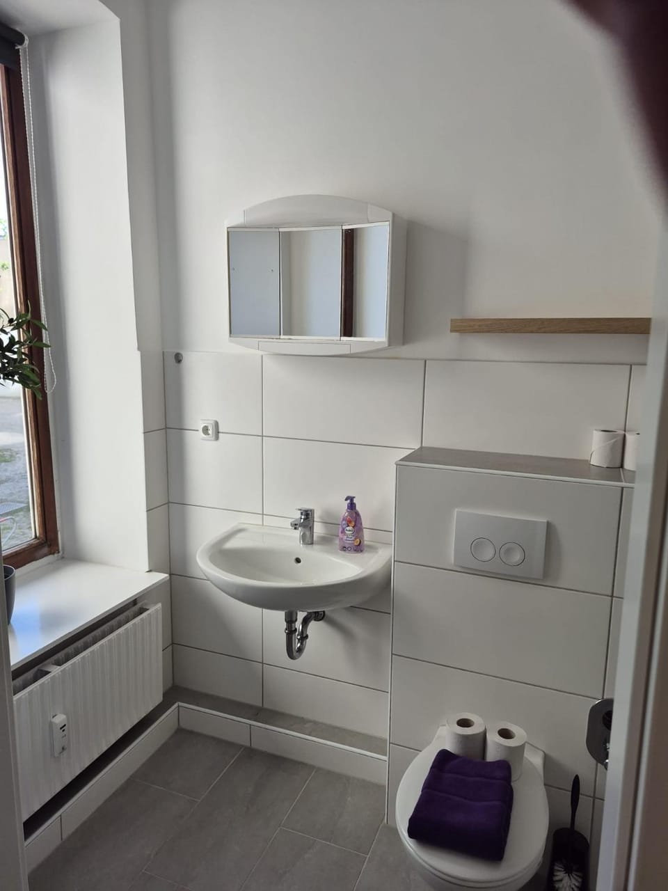 Toilet, Bathroom