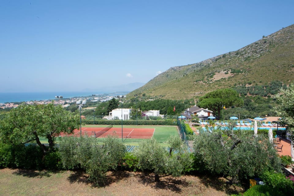 Tennis court