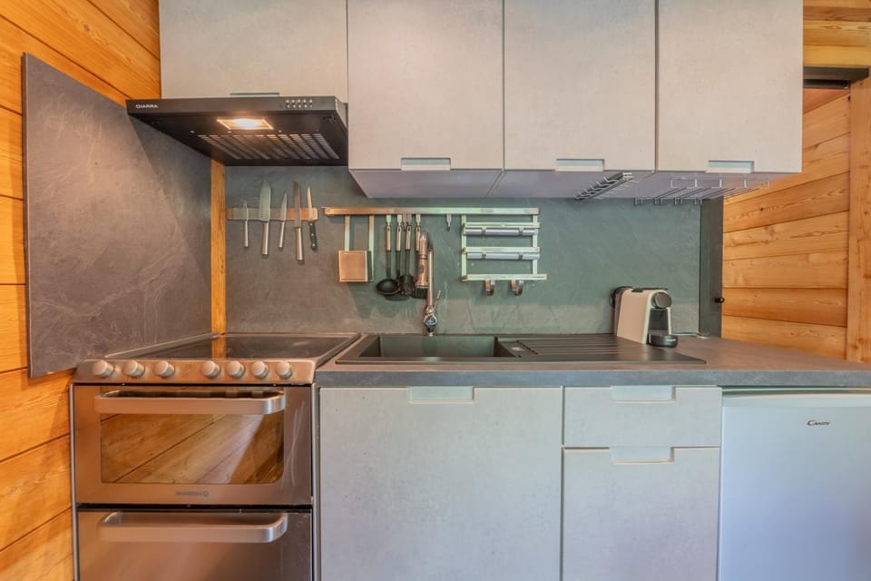 Kitchen or kitchenette, dishwasher, minibar, pet friendly, stove