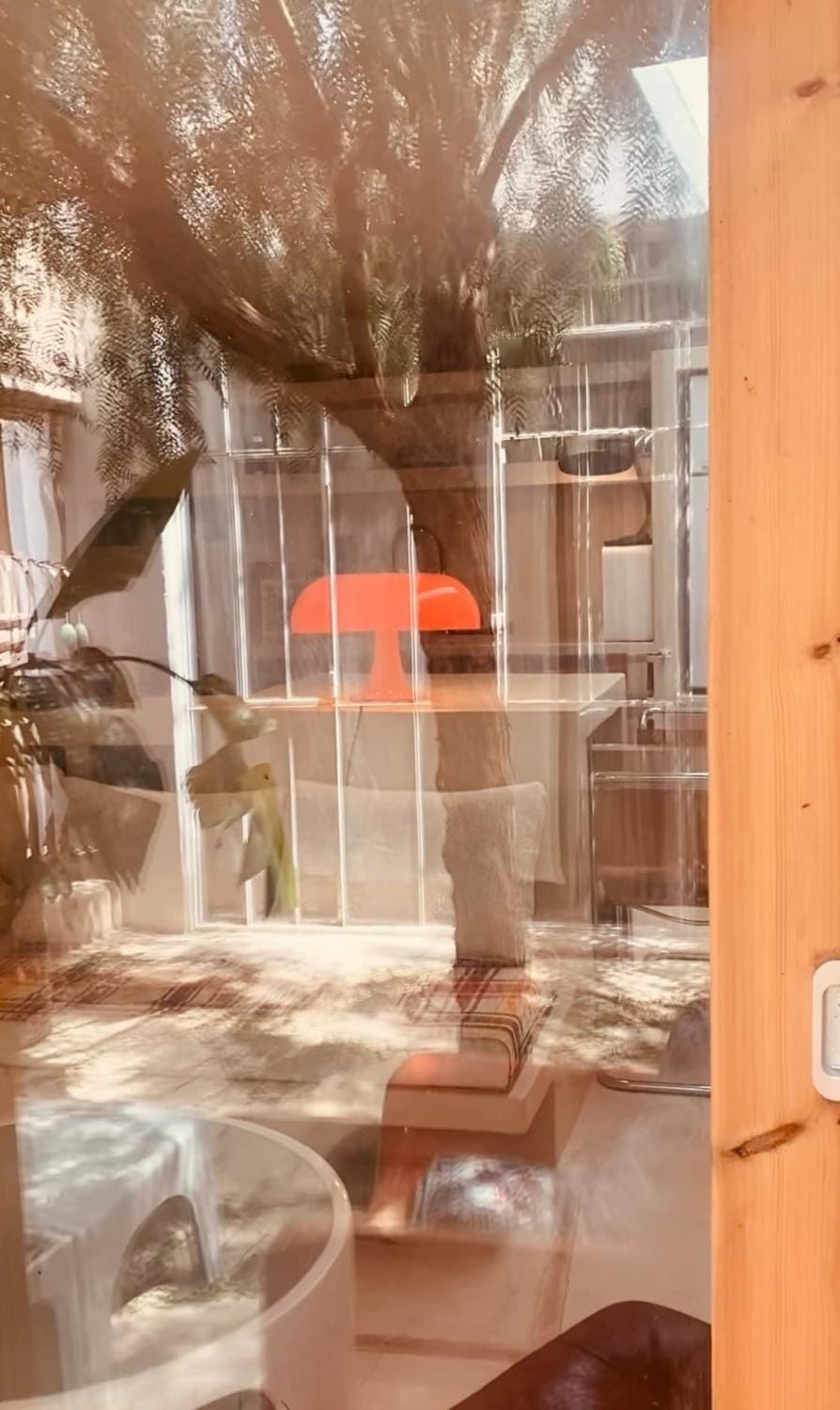 camel-egg eco Entire Beldi Boutique Riad Apartment in Marrakesh-Safi