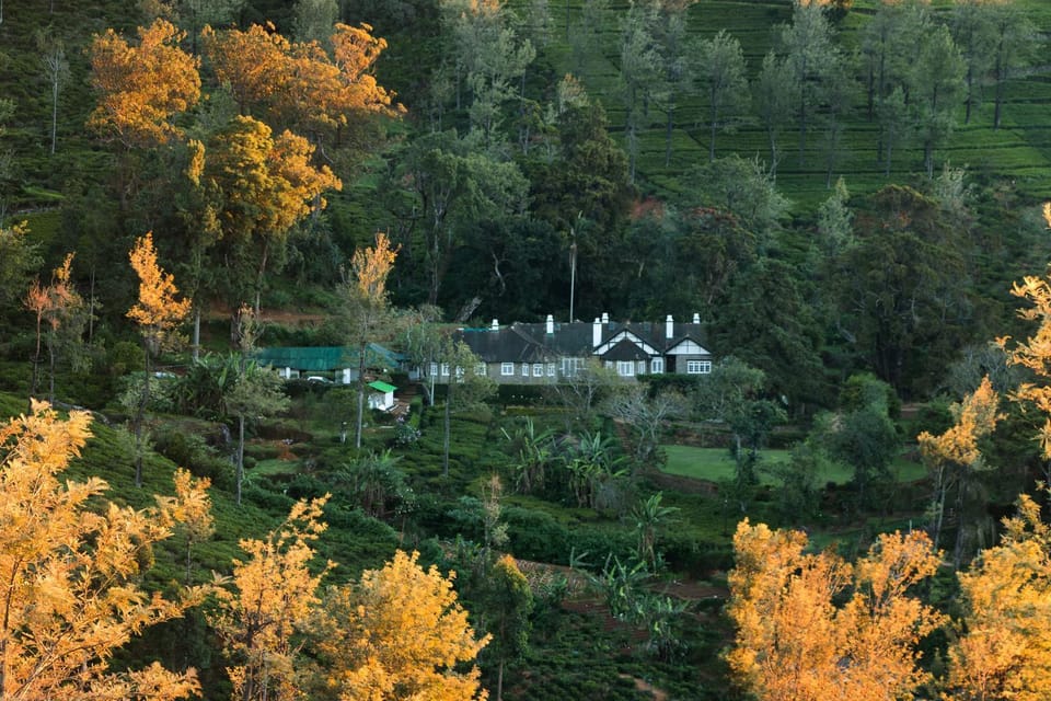 Day, Bird's eye view, Summer