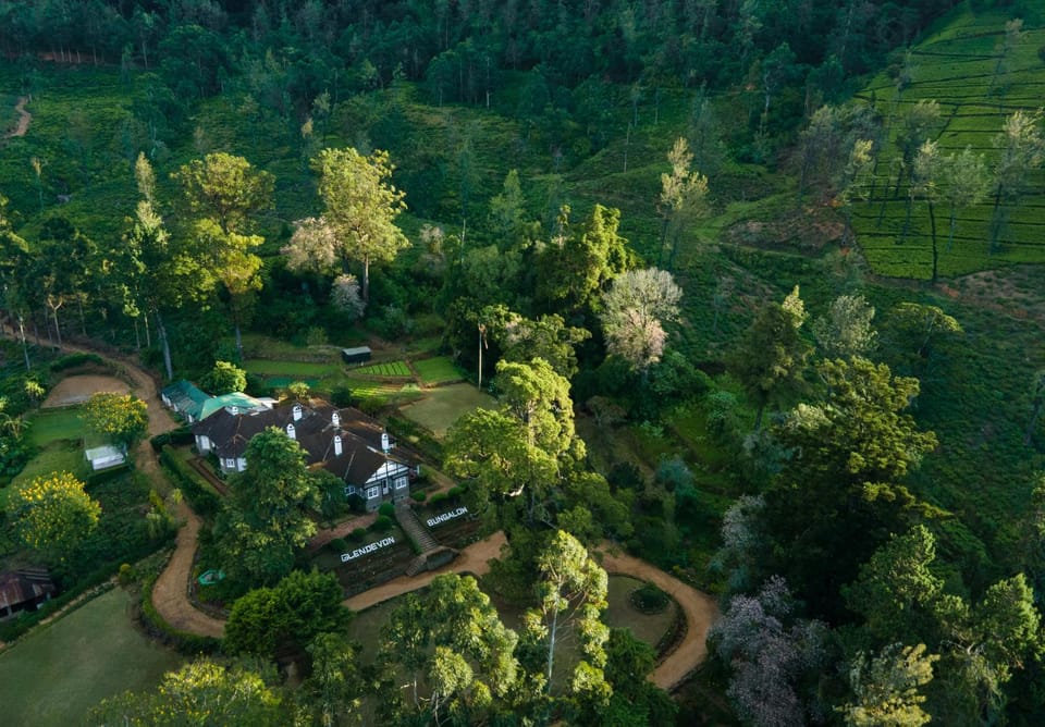 Property building, Day, Natural landscape, Bird's eye view, Garden, Garden view
