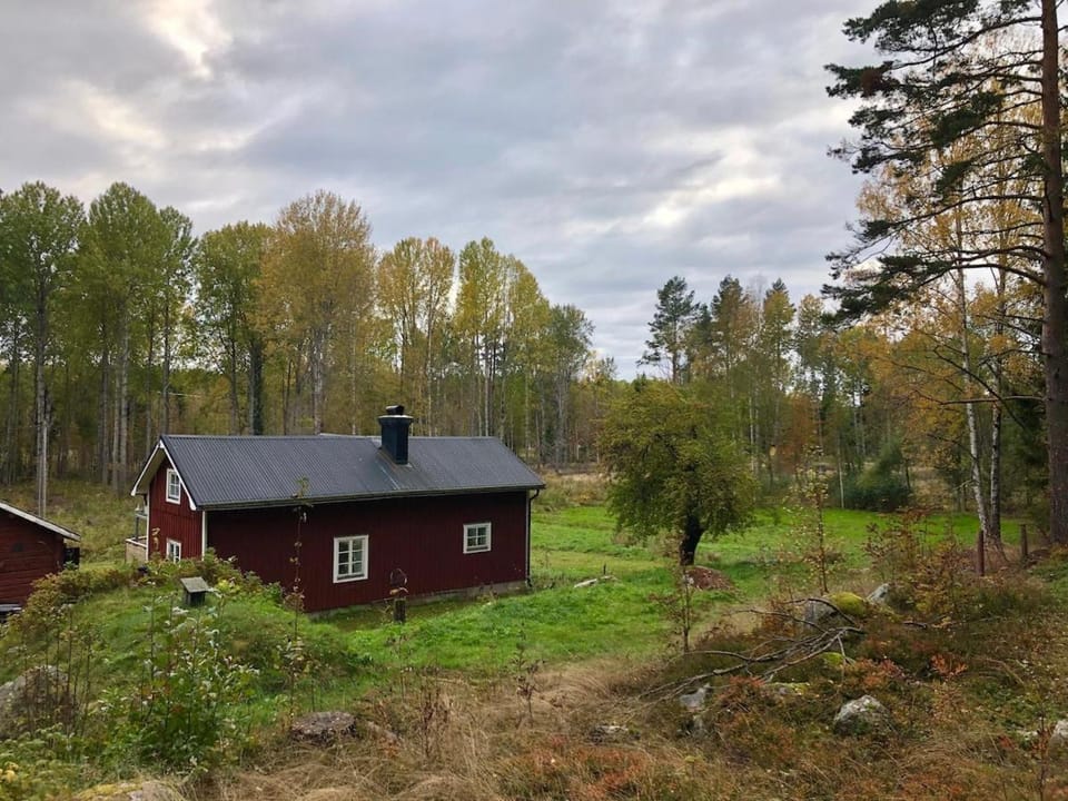 House in the forest, Sweden Hälsingland House in Sweden