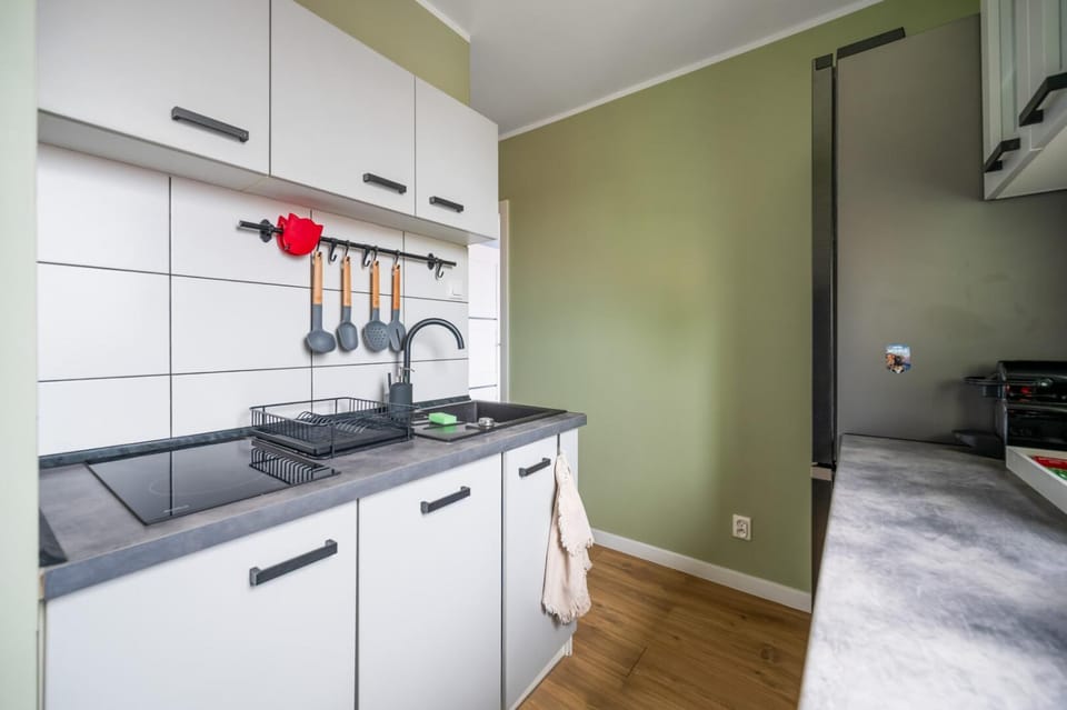 Kitchen or kitchenette, dishwasher, stove